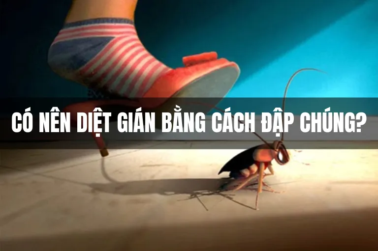 Sản phẩm Có nên diệt gián bằng cách đập chúng_ 07 03 2023 11 47 16 — Diệt Côn Trùng Phương Đông - Công Ty TNHH Thương Mại Và DV Hoàng Gia Phương Đông — MST 3702668474