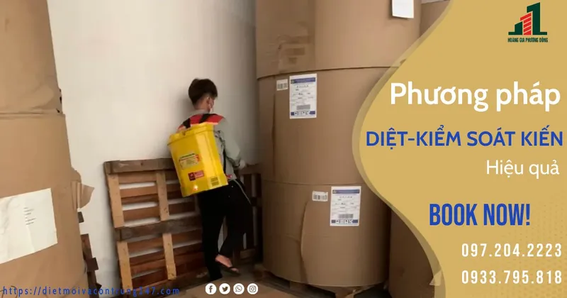Sản phẩm kien (1)_ 21 02 2023 10 05 36 — Diệt Côn Trùng Phương Đông - Công Ty TNHH Thương Mại Và DV Hoàng Gia Phương Đông — MST 3702668474