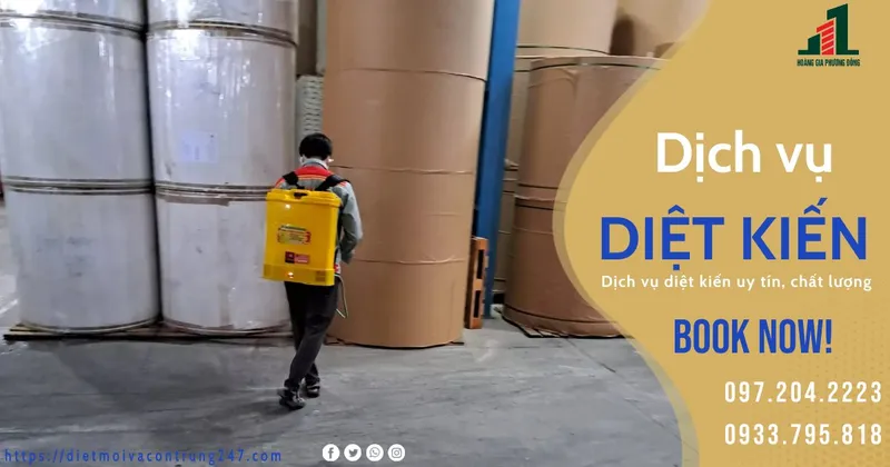 Sản phẩm kien (4)_ 21 02 2023 10 05 06 — Diệt Côn Trùng Phương Đông - Công Ty TNHH Thương Mại Và DV Hoàng Gia Phương Đông — MST 3702668474
