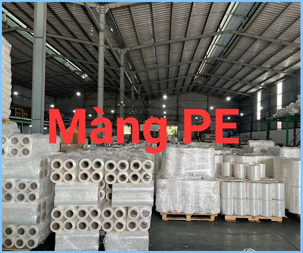 Sản phẩm mang pe (3) — Mút Xốp KBC - Công Ty TNHH Bao Bì KBC — MST 3702673837