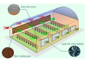 Sản phẩm mo hinh gioi thieu lam mat he thong colingpad 5053 — Công Ty TNHH Cơ Điện Đại Hoàng Phát — MST 3702683881