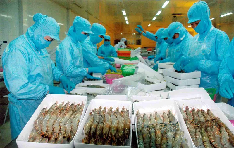 Sản phẩm cho thu lao dong — Suất Ăn Công Nghiệp Lao Động Thời Đại - Công Ty TNHH TM DV Lao Động Thời Đại — MST 3702696383