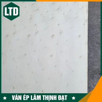 Sản phẩm van ep bao bi2 — Ván ép Lâm Thịnh Đạt - Công Ty TNHH Ván ép Lâm Thịnh Đạt — MST 3702701266