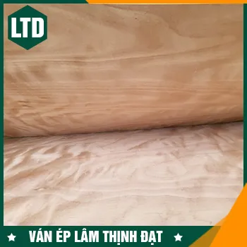 Sản phẩm van ep noi that5 — Ván ép Lâm Thịnh Đạt - Công Ty TNHH Ván ép Lâm Thịnh Đạt — MST 3702701266