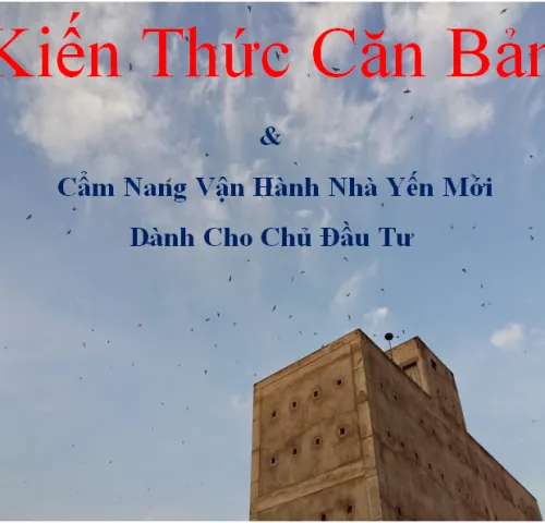 Sản phẩm Capture 500x480 — Yến Sào Asiannest - Công Ty TNHH Yến Sào Asiannest — MST 3702704210