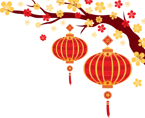 Sản phẩm img after head — Yến Sào Asiannest - Công Ty TNHH Yến Sào Asiannest — MST 3702704210