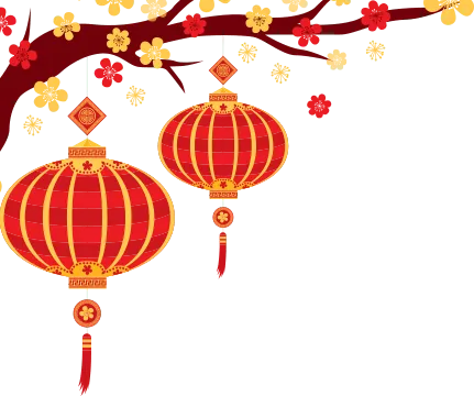 Sản phẩm img before head — Yến Sào Asiannest - Công Ty TNHH Yến Sào Asiannest — MST 3702704210