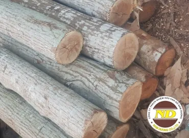 Sản phẩm 20200309173831 752 — Gỗ Nam Dương - Công Ty TNHH Gỗ Nam Dương — MST 3702705937