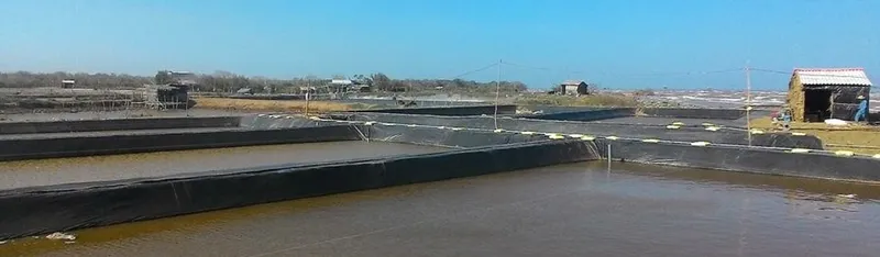 Sản phẩm 0138383852025080.JPG — Bạt Nhựa TNP - Công Ty TNHH MTV Bạt Nhựa TNP — MST 3702708007