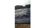 Sản phẩm 399747834563175.JPG — Bạt Nhựa TNP - Công Ty TNHH MTV Bạt Nhựa TNP — MST 3702708007