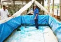 Sản phẩm nuoicaloc 7950 — Bạt Nhựa TNP - Công Ty TNHH MTV Bạt Nhựa TNP — MST 3702708007