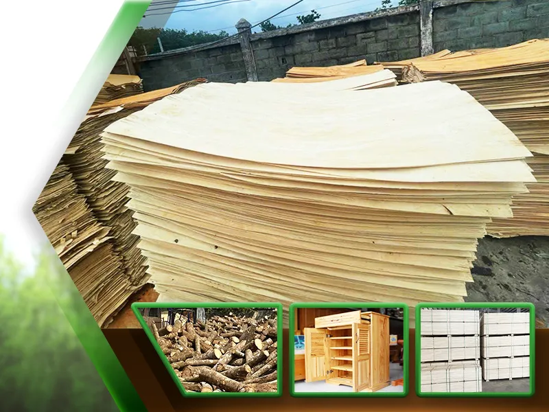 Sản phẩm Anh gioi thieu — Lâm Sản Bình Dương - Công Ty Cổ Phần Kinh Doanh Lâm Sản Bình Dương — MST 3702714459