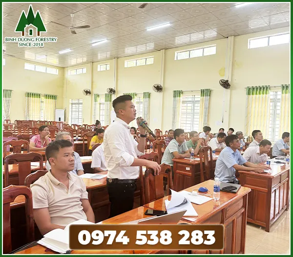 Sản phẩm Tu van danh gia cap chung chi fsc fm — Lâm Sản Bình Dương - Công Ty Cổ Phần Kinh Doanh Lâm Sản Bình Dương — MST 3702714459