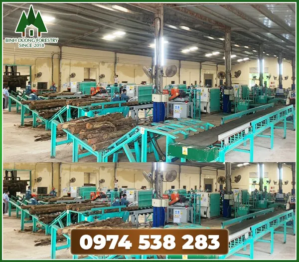Sản phẩm Day chuyen xe go tu dong — Lâm Sản Bình Dương - Công Ty Cổ Phần Kinh Doanh Lâm Sản Bình Dương — MST 3702714459
