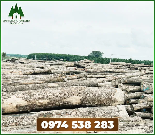 Sản phẩm Nguyen lieu go 1 — Lâm Sản Bình Dương - Công Ty Cổ Phần Kinh Doanh Lâm Sản Bình Dương — MST 3702714459