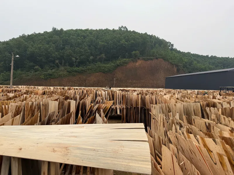 Sản phẩm z6214788280259_700baa26dbb7ee9399234700522a1b8f — Lâm Sản Bình Dương - Công Ty Cổ Phần Kinh Doanh Lâm Sản Bình Dương — MST 3702714459