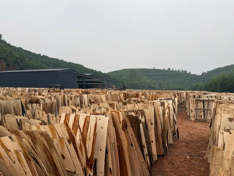 Sản phẩm z6214788310472_1fb9f427d4cf8915c0a010cdabb6aa44 — Lâm Sản Bình Dương - Công Ty Cổ Phần Kinh Doanh Lâm Sản Bình Dương — MST 3702714459