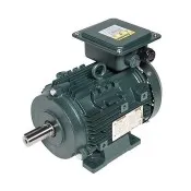 Sản phẩm dong co motor toshiba   hung vuong (1.1) 7171 — Công Ty TNHH Thiết Bị Cơ Điện Hùng Vương — MST 3702717072