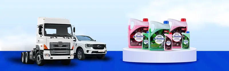 Sản phẩm z6529005249266_0837af2dba81c0cd2eac9430e85107f7 — Công Ty Cổ Phần Blueone — MST 3702740152