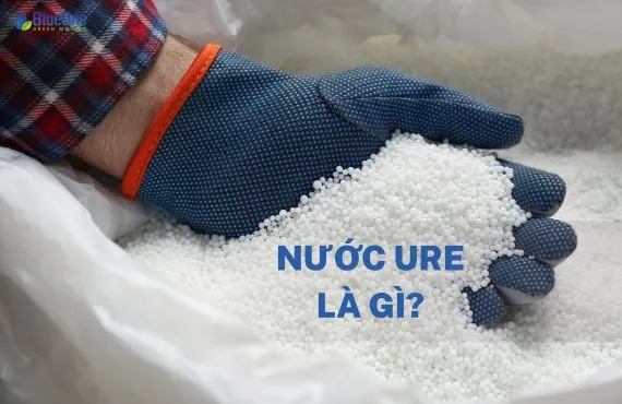 Sản phẩm Nuoc ure la gi Tim hieu vai tro trong dong co diesel 570x370 — Công Ty Cổ Phần Blueone — MST 3702740152