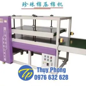 Sản phẩm may ep mang foam 1 300x300 — Công Ty Mút Xốp Thụy Phong — MST 3702740593