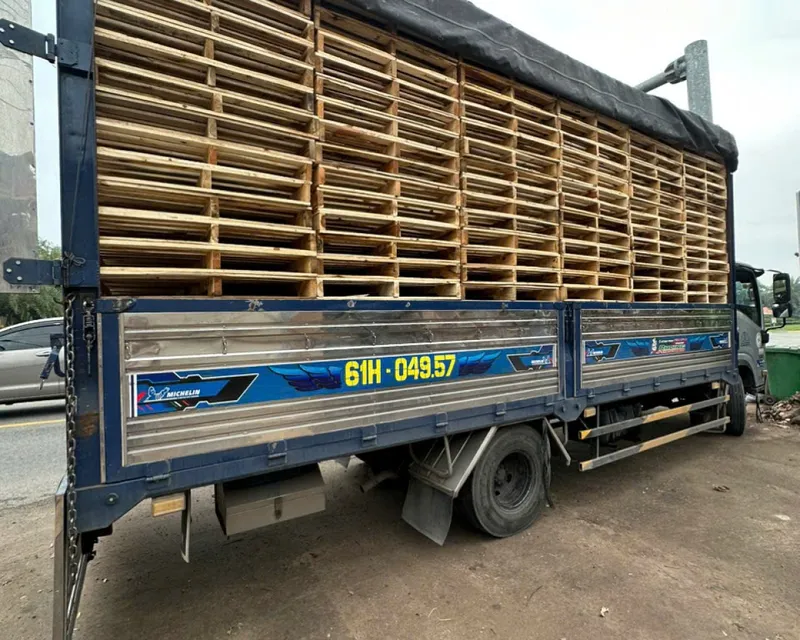 Sản phẩm z6421915541880150b17b6f76a48df2e7921eee9446cf7 99400 — Pallet Thanh Tuấn - Công Ty TNHH Thương Mại Dịch Vụ Pallet Thành Đạt — MST 3702747020