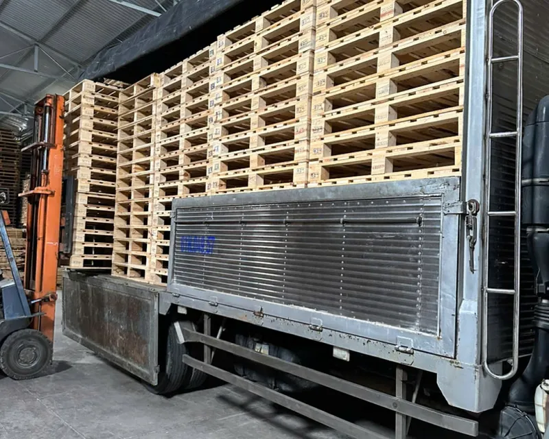 Sản phẩm z64219156066201e5adcd7d41131a6b23b4b565c105ca8 44691 — Pallet Thanh Tuấn - Công Ty TNHH Thương Mại Dịch Vụ Pallet Thành Đạt — MST 3702747020