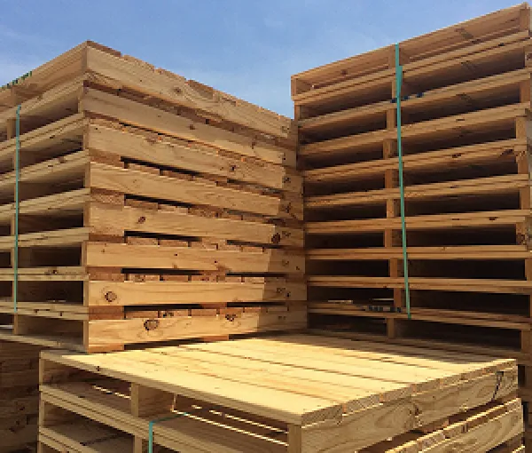 Sản phẩm image 24 4064 — Pallet Thanh Tuấn - Công Ty TNHH Thương Mại Dịch Vụ Pallet Thành Đạt — MST 3702747020