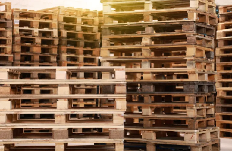 Sản phẩm 1 3855 — Pallet Thanh Tuấn - Công Ty TNHH Thương Mại Dịch Vụ Pallet Thành Đạt — MST 3702747020