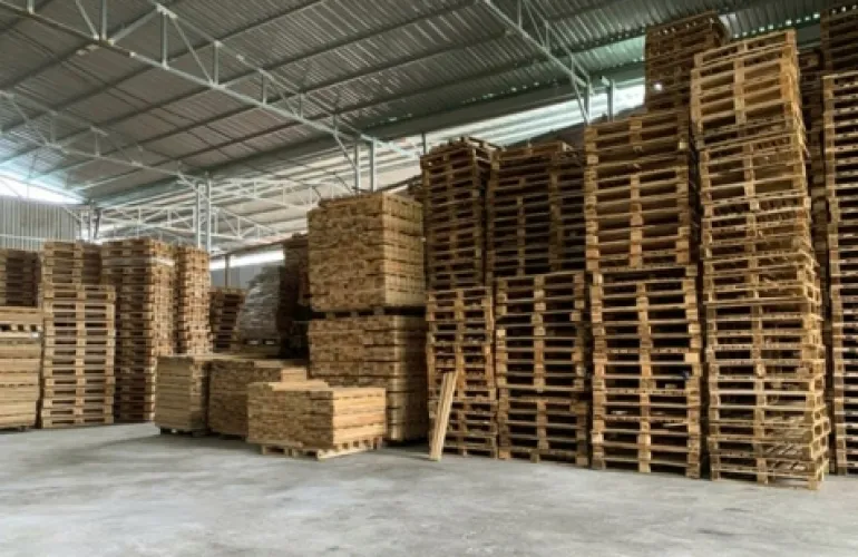 Sản phẩm gioi thieu ve pallet go thanh dat 2509 9822 — Pallet Thanh Tuấn - Công Ty TNHH Thương Mại Dịch Vụ Pallet Thành Đạt — MST 3702747020