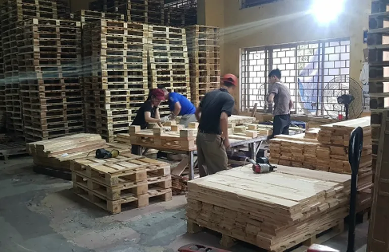 Sản phẩm image 33 2533 — Pallet Thanh Tuấn - Công Ty TNHH Thương Mại Dịch Vụ Pallet Thành Đạt — MST 3702747020