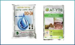 Sản phẩm Vi sinh — Hóa Chất Xử Lý Nước Bình Dương - Công Ty TNHH Bình Dương Chem — MST 3702750707