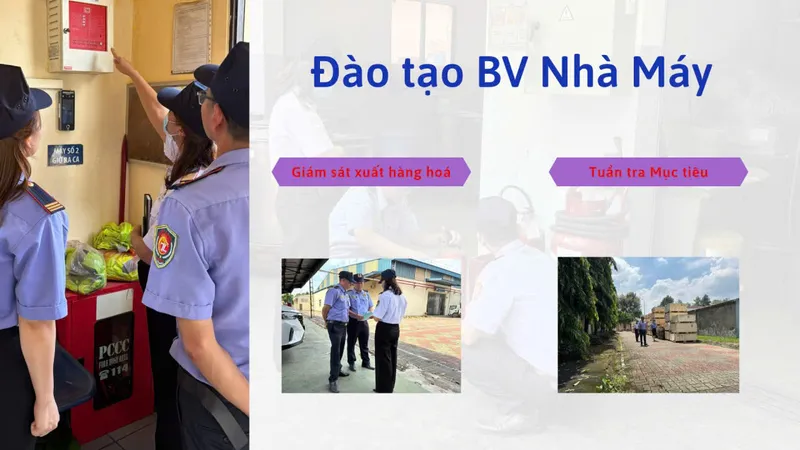 Sản phẩm z7180200748329_67cc2d3f3d10d0edf6508907bb1f6c16 — Bảo Vệ Thiên Long - Công Ty TNHH Dịch Vụ Bảo Vệ Tập Đoàn Thiên Long — MST 3702752817