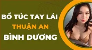 Sản phẩm bo tuc tay lai thuan an binh duong 300x165 — Dạy Nghề Lái Xe Thầy Nam - Công Ty TNHH Dạy Nghề Lái Xe Thầy Nam — MST 3702758791