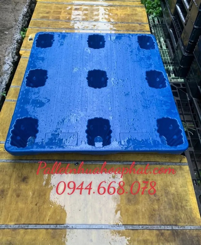 Sản phẩm z4179789566912_c078762fc89d899835d8016ac901a023063240222497 — Pallet Hòa Phát - Công Ty TNHH Thương Mại Dịch Vụ Hòa Phát Plastic — MST 3702759844