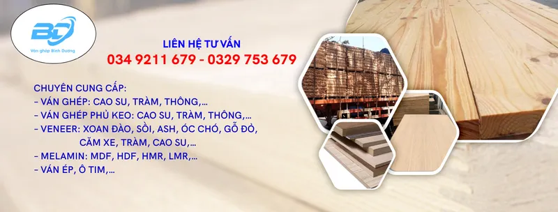 Sản phẩm 7a671e6c6a73b12de862 — Công Ty TNHH Gỗ Minh Lập Bình Phước — MST 3702763103