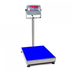 Sản phẩm can ban dien tu t31p 300x300 — Cân Vạn An Phát - Công Ty TNHH Cân Điện Tử Vạn An Phát — MST 3702773687