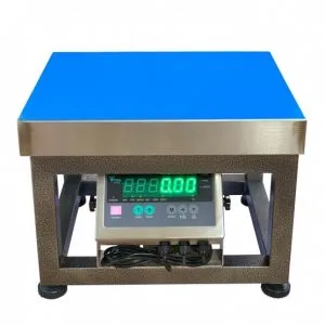 Sản phẩm DI28SS 300kg 300x300 — Cân Vạn An Phát - Công Ty TNHH Cân Điện Tử Vạn An Phát — MST 3702773687
