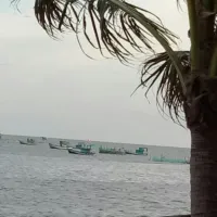 Sản phẩm screenshot2019111614241873 3858 — Công Ty TNHH Công Nghiệp KTL — MST 3702776737