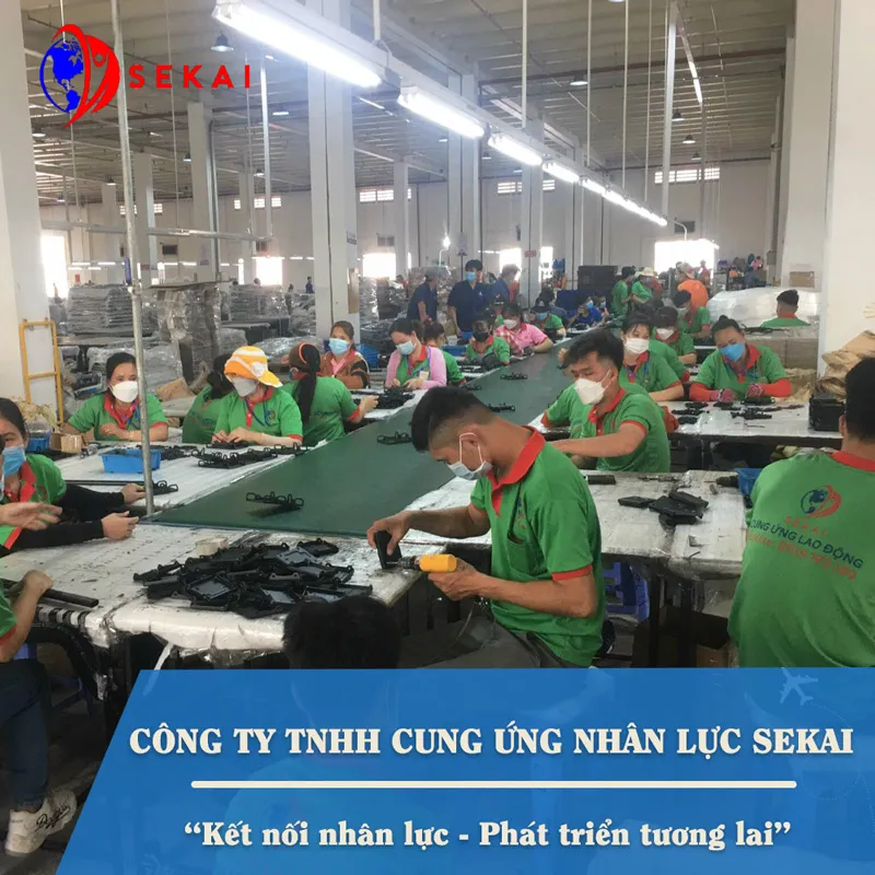 Sản phẩm QUOCKHANH34 — Công Ty TNHH Thương Mại Dịch Vụ SEKAI — MST 3702782473