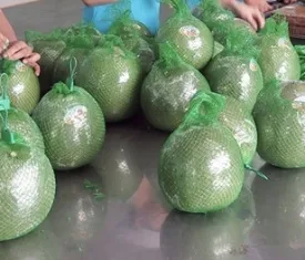 Sản phẩm z66937513244557910b06a1271f6ff0325e4d1cc60e1c3 7712 — Công Ty TNHH Sản Xuất Thượng Nguyên — MST 3702787591