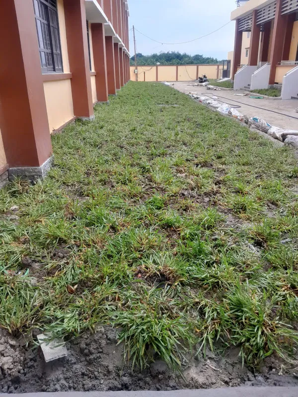 Sản phẩm z5974556250354_f2e4c3a05914b533b47ddaa2b0f6a260 — Cây Xanh Green Life - Công Ty TNHH Thương Mại Dịch Vụ Cây Xanh Green Life — MST 3702795458