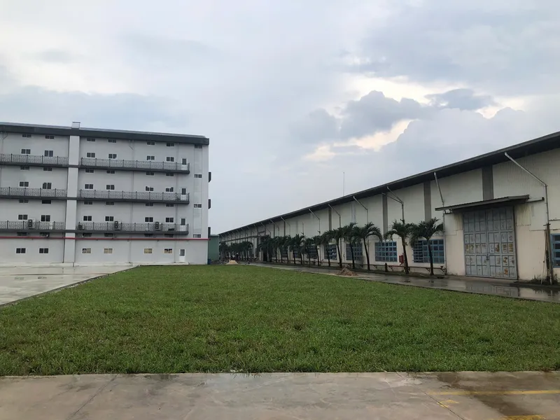 Sản phẩm z7164394943991_12350f629e0badde43a37ad9fc0fddf6 — Cây Xanh Green Life - Công Ty TNHH Thương Mại Dịch Vụ Cây Xanh Green Life — MST 3702795458