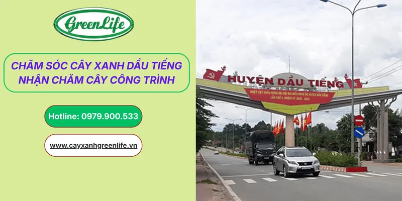 Sản phẩm cham soc cay xanh Dau Tieng thumb — Cây Xanh Green Life - Công Ty TNHH Thương Mại Dịch Vụ Cây Xanh Green Life — MST 3702795458