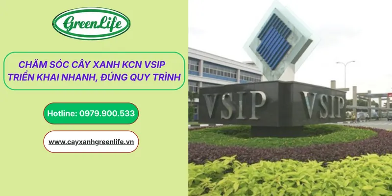 Sản phẩm cham soc cay xanh KCN VSIP thumb — Cây Xanh Green Life - Công Ty TNHH Thương Mại Dịch Vụ Cây Xanh Green Life — MST 3702795458