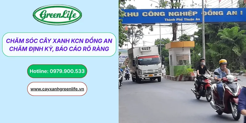 Sản phẩm cham soc cay xanh KCN dong an thumb — Cây Xanh Green Life - Công Ty TNHH Thương Mại Dịch Vụ Cây Xanh Green Life — MST 3702795458