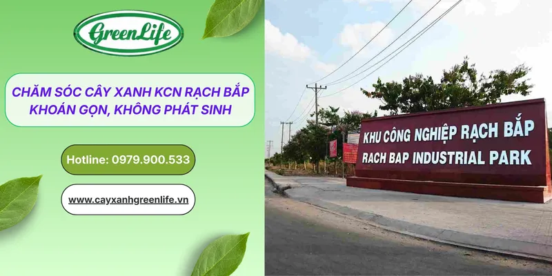 Sản phẩm cham soc cay xanh KCN rach bap thumb — Cây Xanh Green Life - Công Ty TNHH Thương Mại Dịch Vụ Cây Xanh Green Life — MST 3702795458