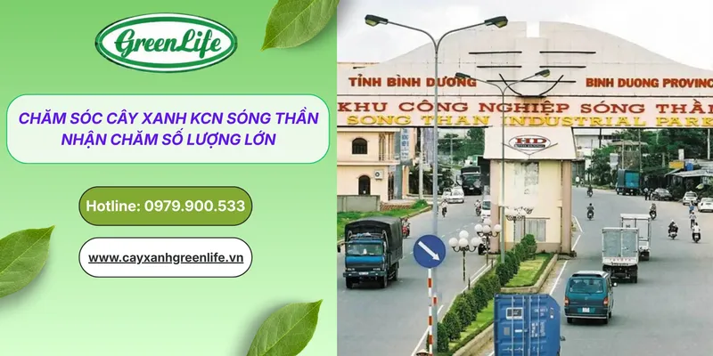 Sản phẩm cham soc cay xanh KCN song than thumb — Cây Xanh Green Life - Công Ty TNHH Thương Mại Dịch Vụ Cây Xanh Green Life — MST 3702795458