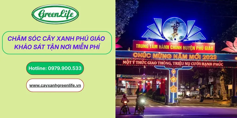Sản phẩm cham soc cay xanh phu giao thumb — Cây Xanh Green Life - Công Ty TNHH Thương Mại Dịch Vụ Cây Xanh Green Life — MST 3702795458