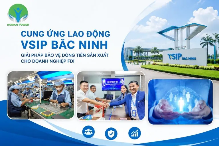 Sản phẩm 2 5 768x512 — Công Ty TNHH Cung ứng Lao Động Human Power — MST 3702806484